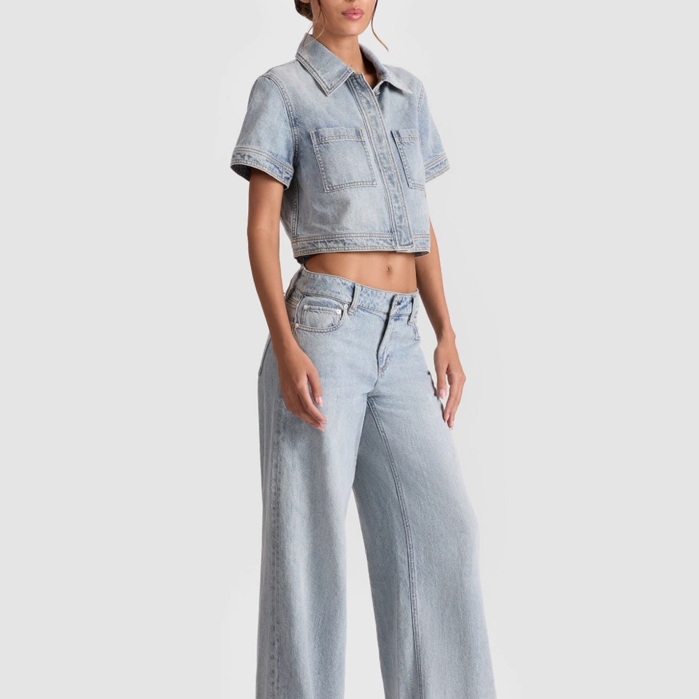 New Alice and Olivia Tesha denim top